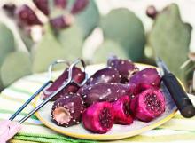 prickly-pear-cactus-pear-fruit-5289.jpg prickly-pear-cactus-pear-fruit-5289.jpg