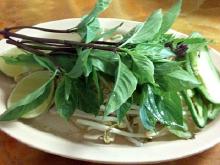 Pho with basil bean sprouts on plat.jpg