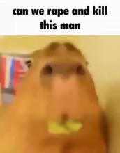 animation_gif (11).mp4