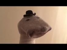 Stewart.jpg