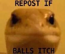repost.jpg