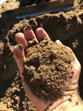 DIRT in hand.jpg