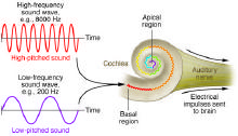 JCI72707_f2.jpg