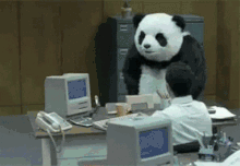 IMG_7065.gif