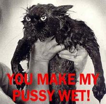 Pussy wet cat you make my.jpg