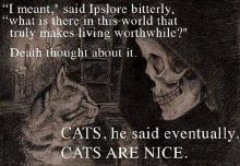 cats are nice.jpg