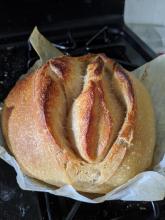 Bread sourdough vagina yeast with V.jpg