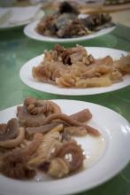 PENIS China many different ones coo.jpg PENIS China many different ones coo.jpg