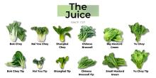 Bok Choy ASIAN-VEGGIES-GUIDE-CHOY-V.jpg
