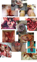 IMG_8105.png IMG_8105.png