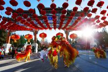 Chinese New Year 2026 dif.jpg