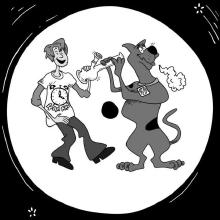 z1773445256877599.webm