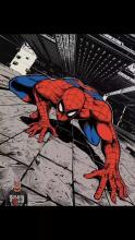Spiderman.mp4 Spiderman.mp4