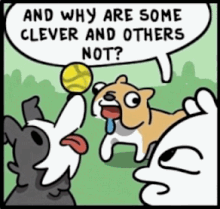 dogs.gif