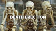 Death Erection.jpg