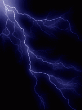 01.gif