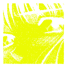 ezgif-6239cc5659958579.gif